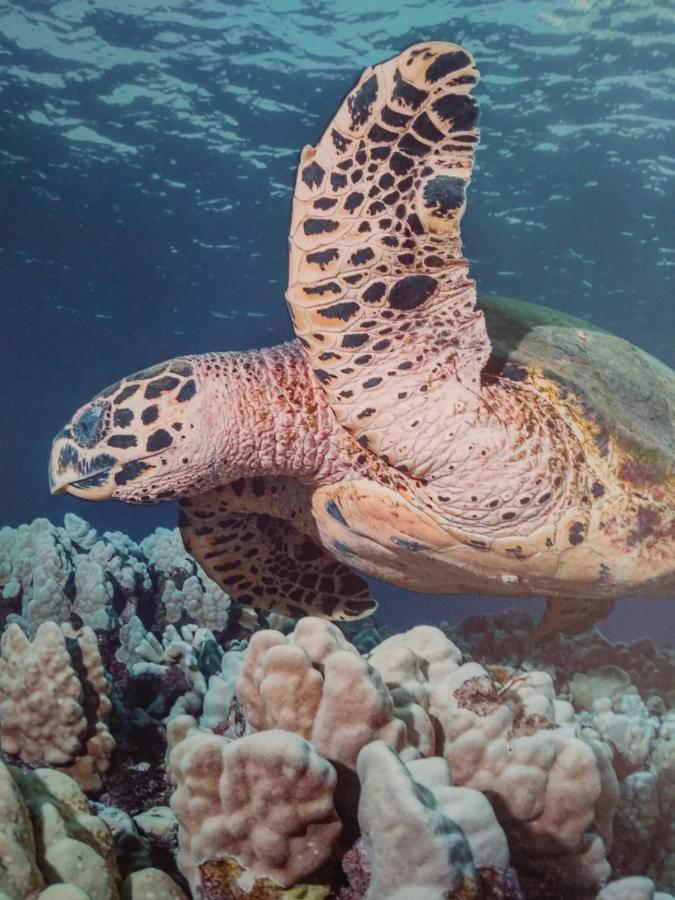 شقة Ocean View Paradise 2 المظهر الخارجي الصورة